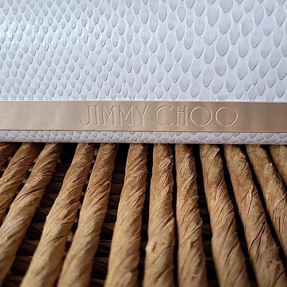 Jimmy Choo faux snakeskin, hard, sunglass / eyeglass case